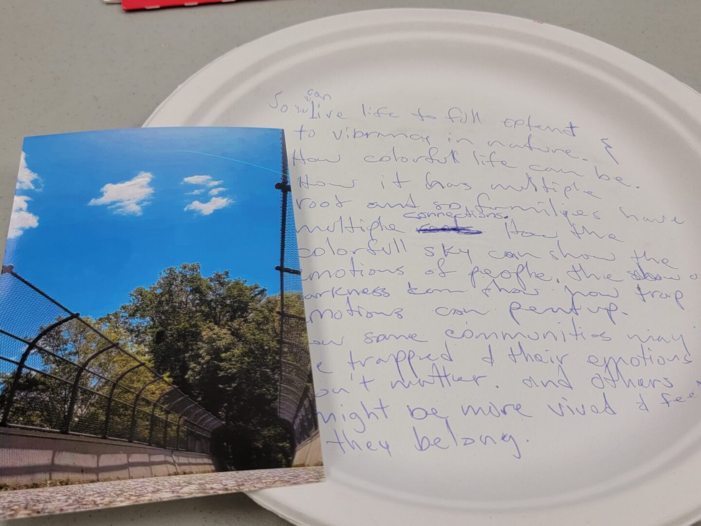 Student reflection on their own photography
